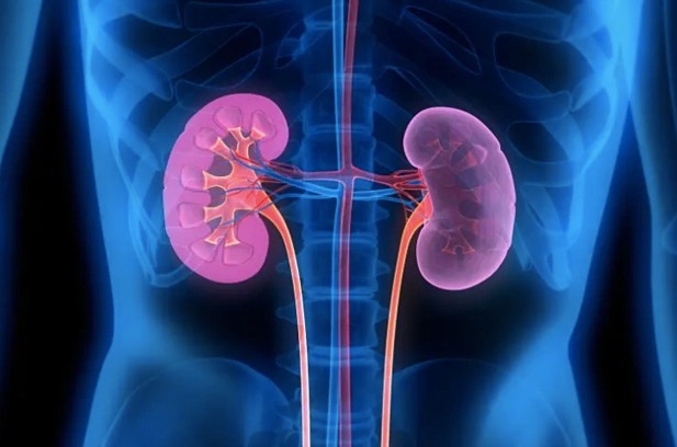 Ảnh minh họa.