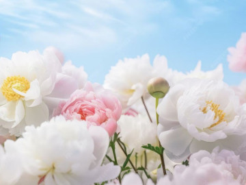 Ngày sinh Âm lịch của người sống tình cảm, chân thành: Càng lớn tuổi, càng hưởng phúc