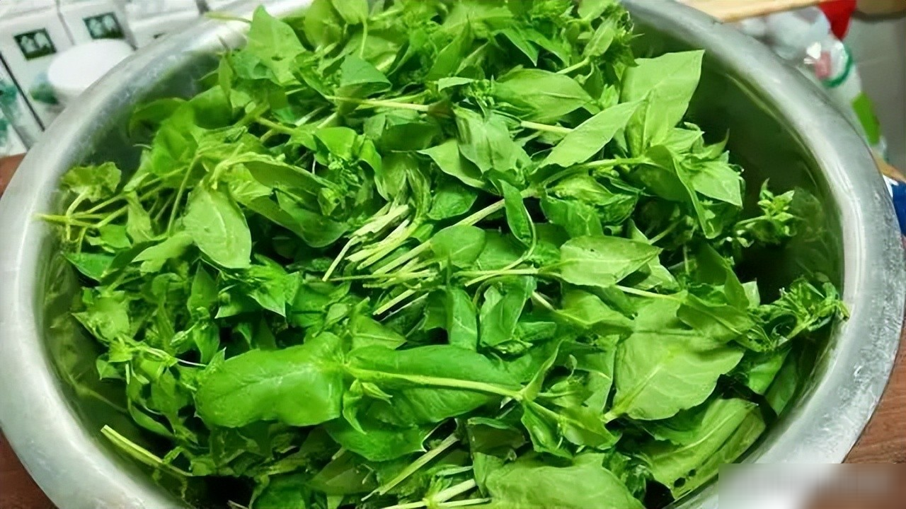 Loại rau dại được mệnh danh là amp;#34;cỏ làm sạch ruộtamp;#34;, thanh nhiệt, giải độc, trộn tỏi giòn ngọt, ngon miệng - 5