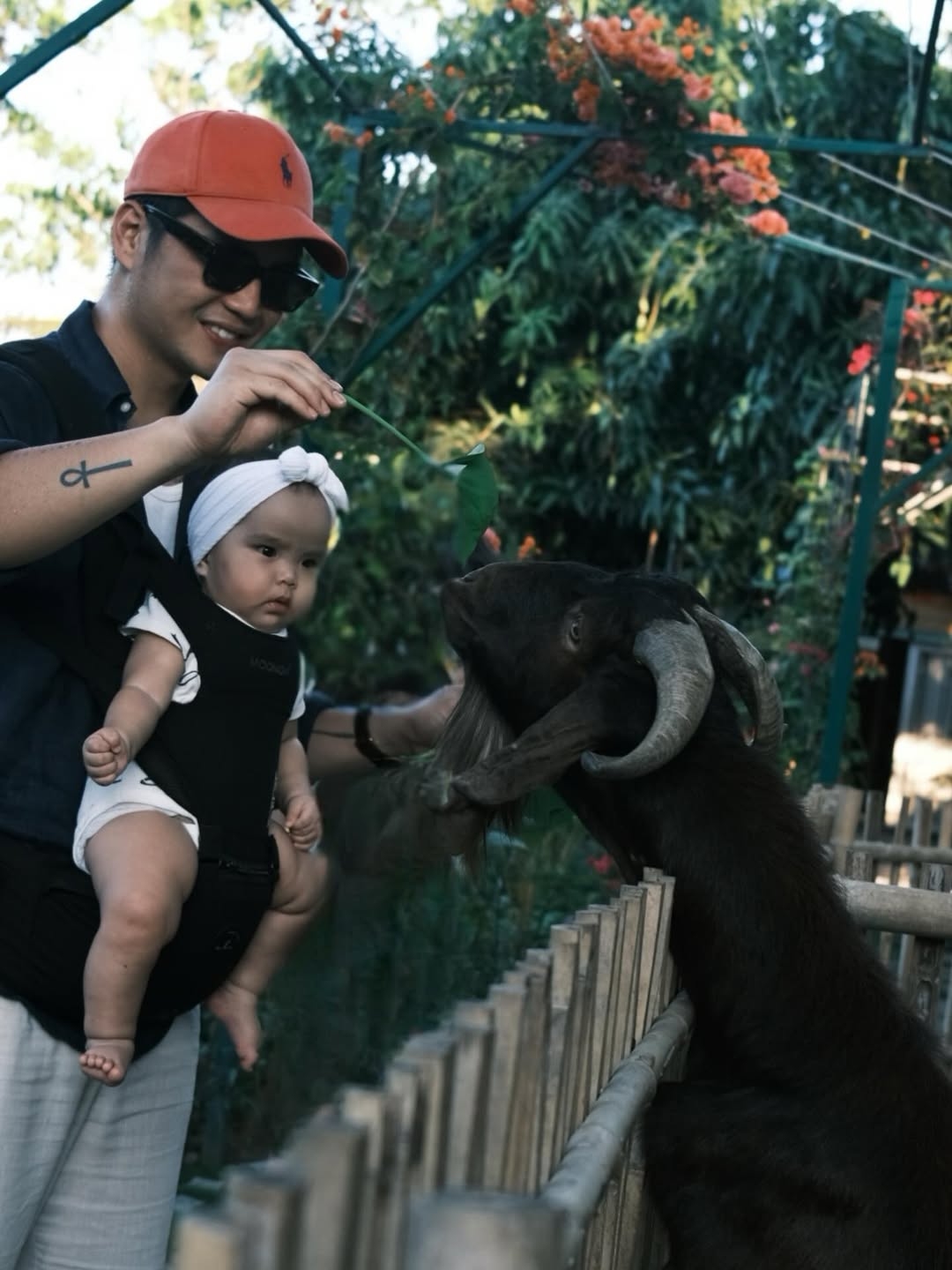 Bé Gạo được bố mẹ đưa đi bơi trong resort cao cấp, dạo chơi trên bãi biển, tham quan vườn thú...