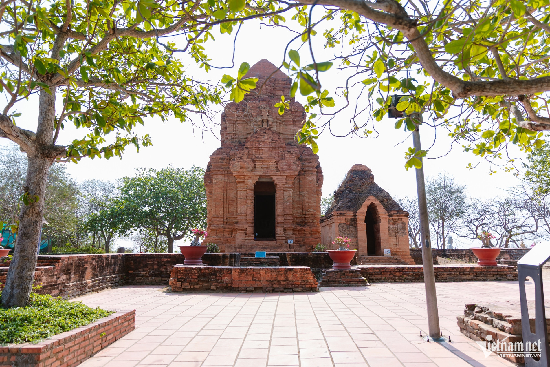 Khách Hà Nội kể trải nghiệm amp;#34;thót timamp;#34; ở Mũi Né, mê tít món đặc sản thơm ngon - 5