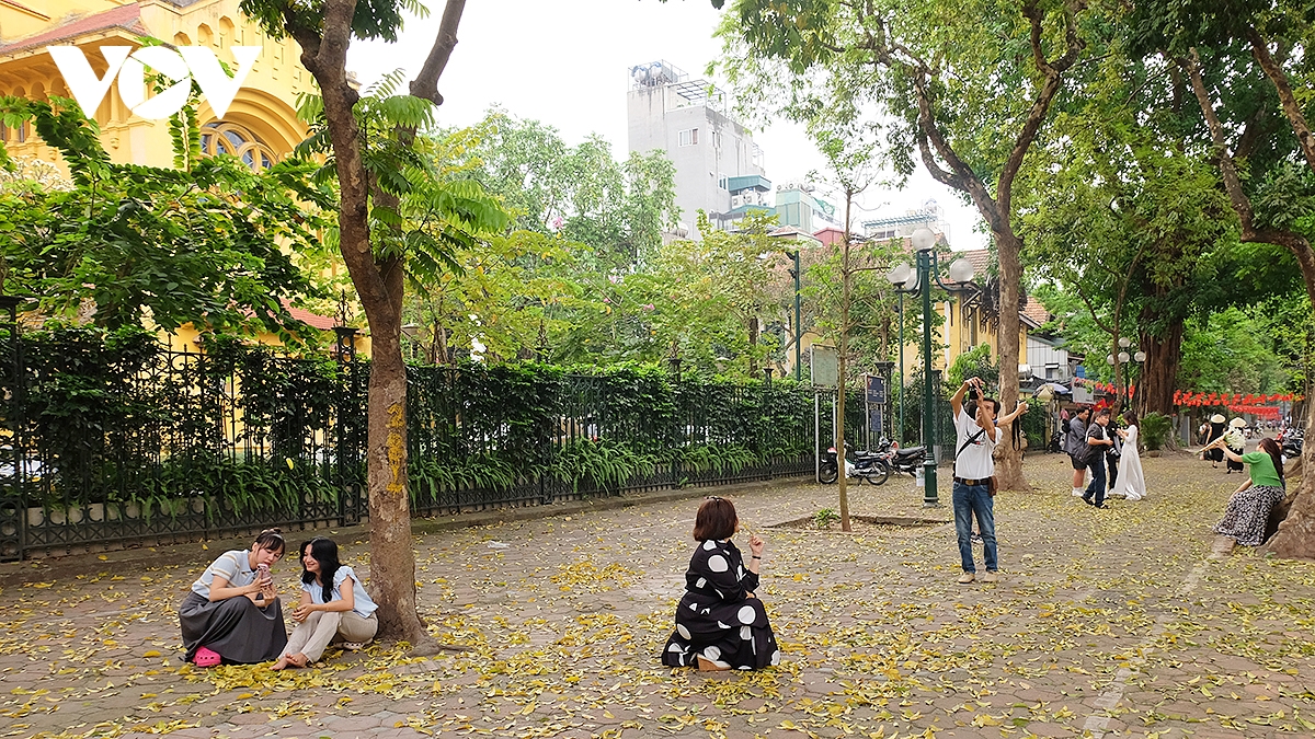 Người yêu Hà Nội và những người thích chụp ảnh không thể bỏ lỡ những khoảnh khắc đẹp trong mùa lá rụng.