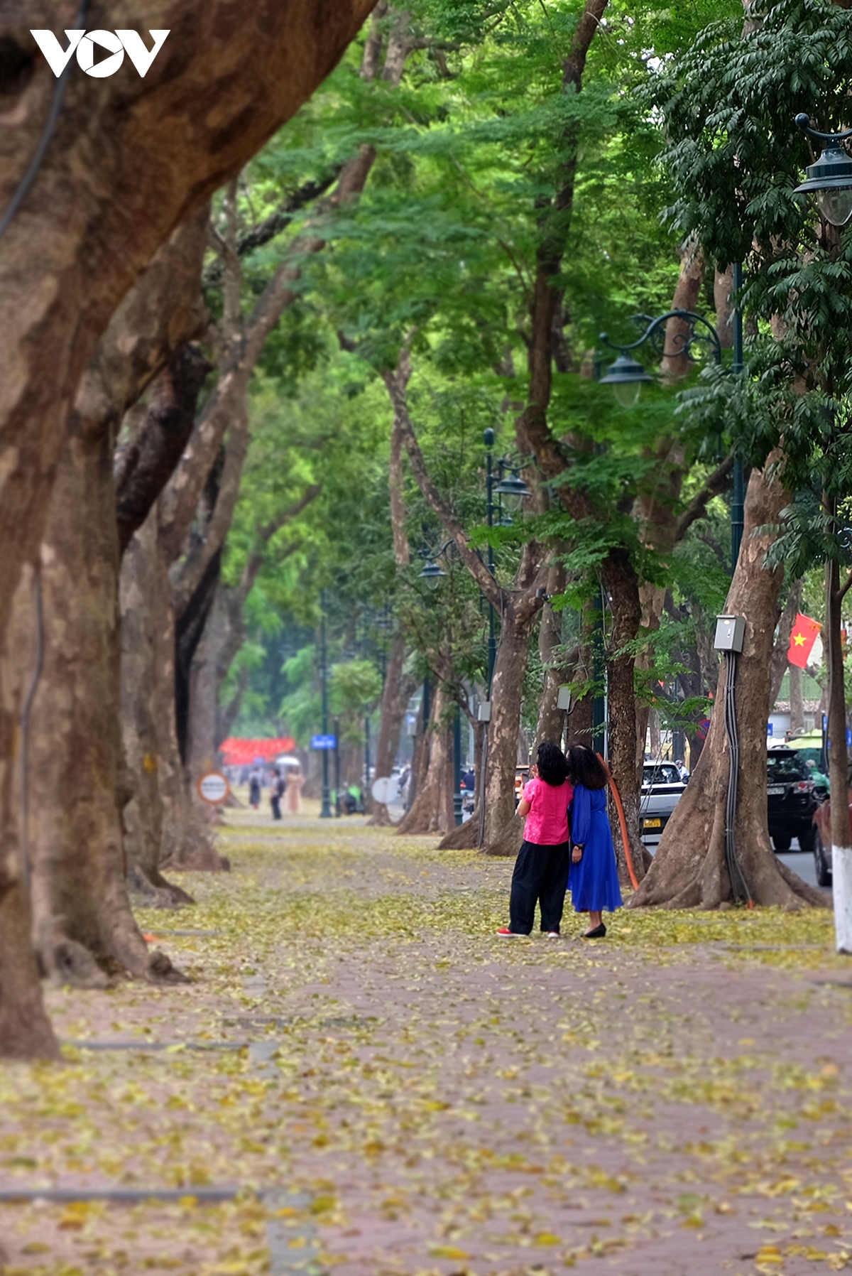 Phố Phan Đình Phùng, con phố với hai hàng sấu thẳng tắp là tuyến phố đẹp nhất ở Hà Nội, những ngày này nhộn nhịp như một “studio” ngoài trời, bởi số người đến chụp ảnh check-in với lá vàng rất đông.