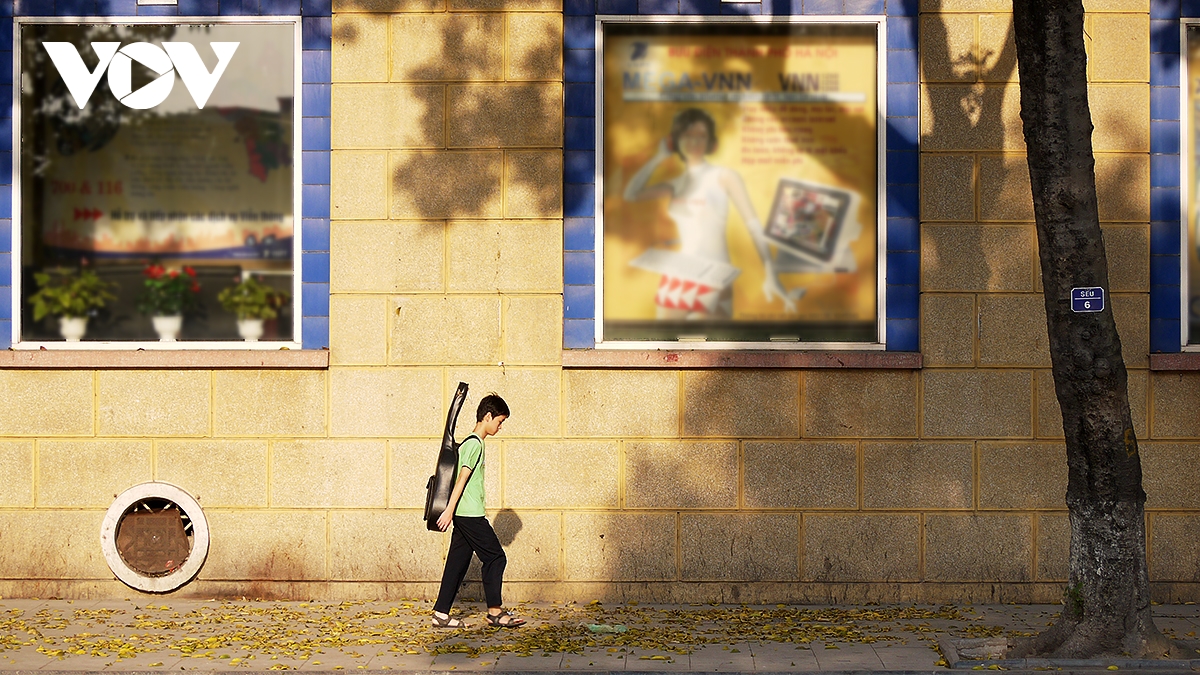 Dưới nắng vàng, bước chân chậm qua trên thảm lá chợt đẹp đến nao lòng.