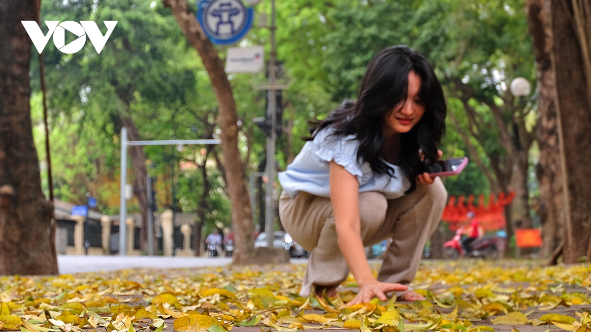 Các bạn trẻ nhặt lá vàng làm đạo cụ chụp ảnh, nhưng cũng có đôi khi chỉ là muốn nâng niu chiếc lá trên tay.