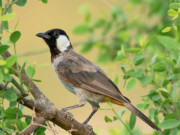 Eva tám - Số cuối ngày sinh Âm lịch dự báo tài lộc ở tuổi trung niên