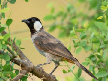 Eva tám - Số cuối ngày sinh Âm lịch dự báo tài lộc ở tuổi trung niên