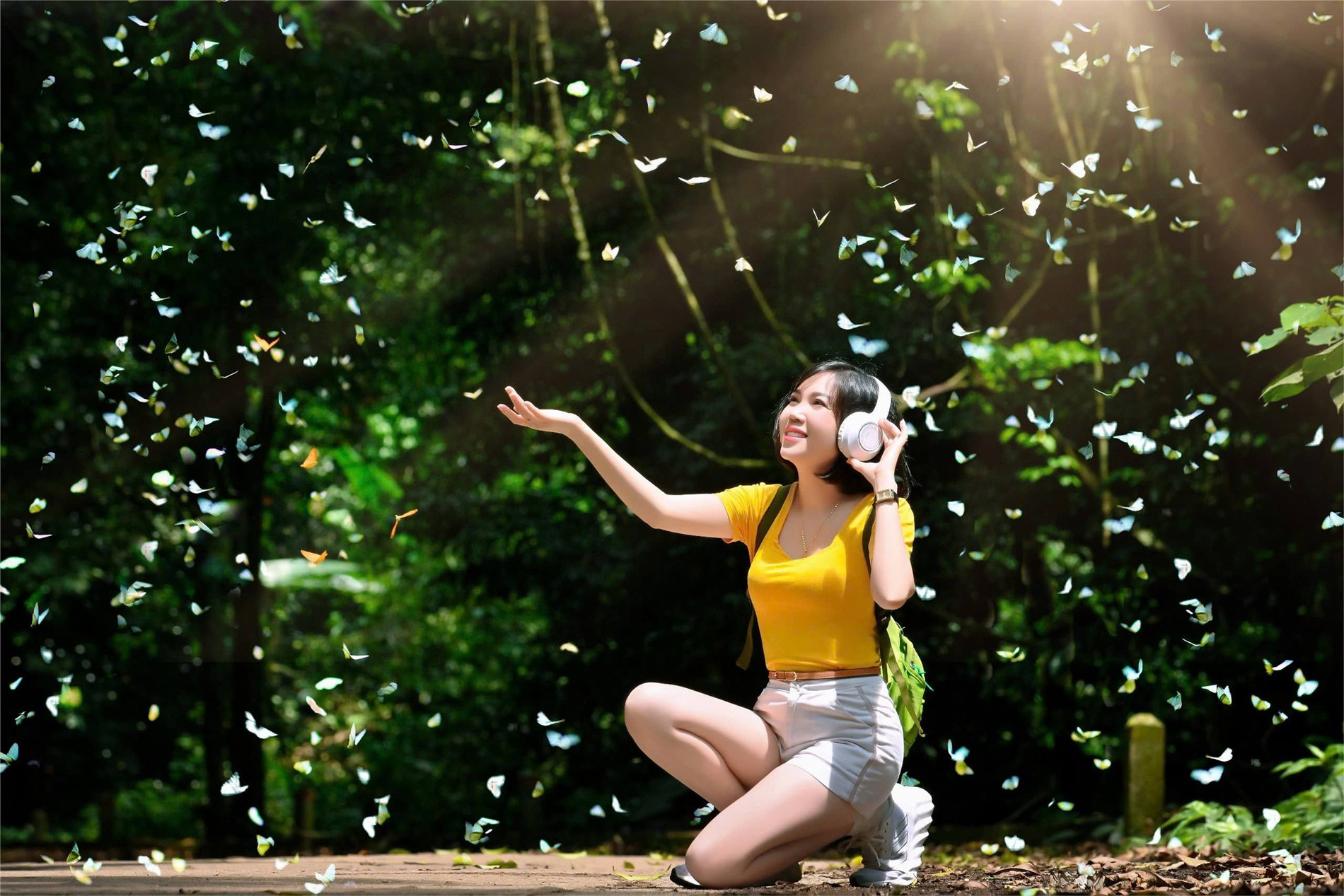 Tháng 5 là thời điểm lý tưởng để du khách trải nghiệm săn bướm ở Cúc Phương. Ảnh: Phạm Phương