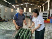 Tin tức - Tiết lộ khoản "hoa hồng" cho hiệu trưởng để tuồn thịt lợn bệnh vào trường học