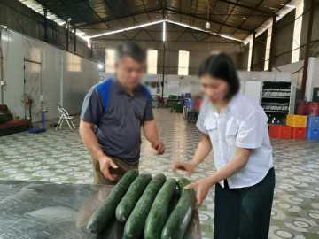 Tiết lộ khoản "hoa hồng" cho hiệu trưởng để tuồn thịt lợn bệnh vào trường học