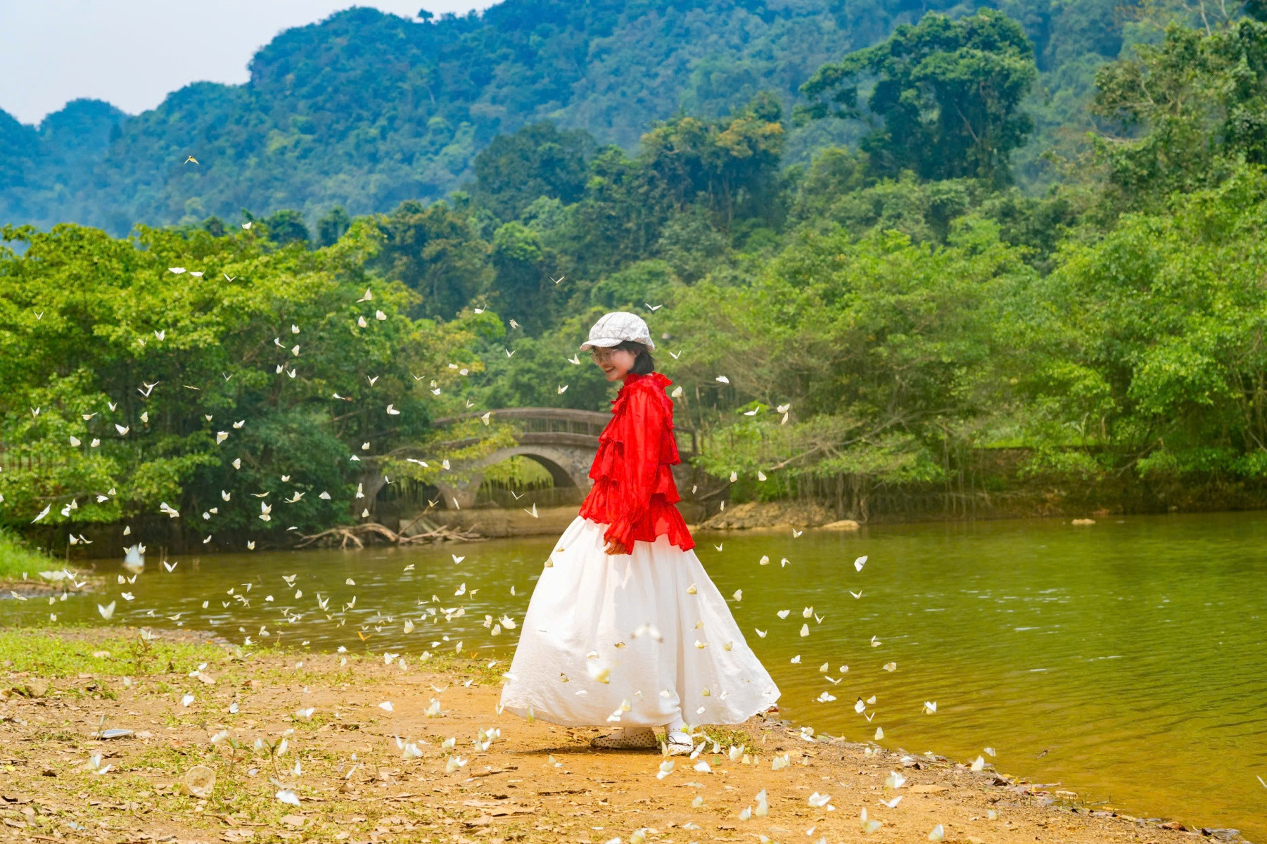 Vào ngày nắng, bướm sẽ xuất hiện nhiều hơn là vào những ngày râm mát. Ảnh: N.L