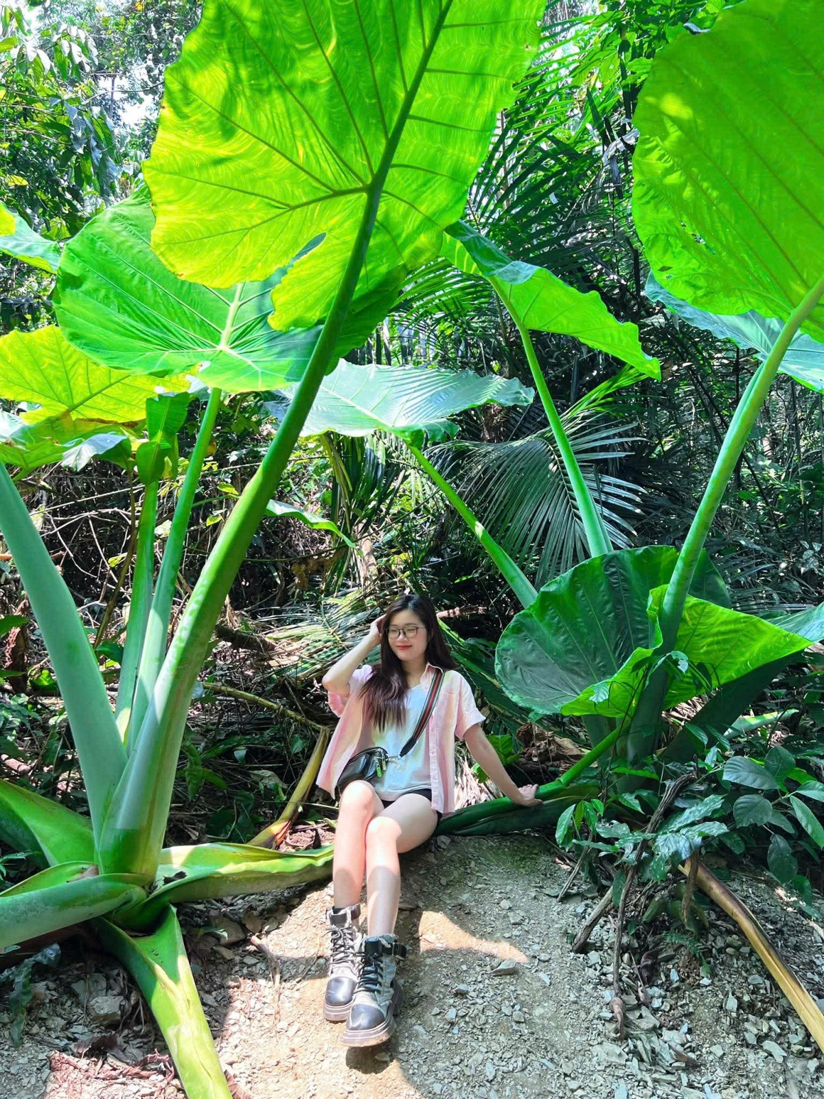 Con người trở nên tí hon trước những cây ráy khổng lồ này. Ảnh: K.H