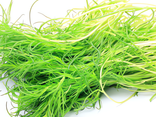 Loại rau dại vừa mặn vừa chua, mềm, ngon nếu chế biến theo cách này, hương vị mùa xuân tràn ngập