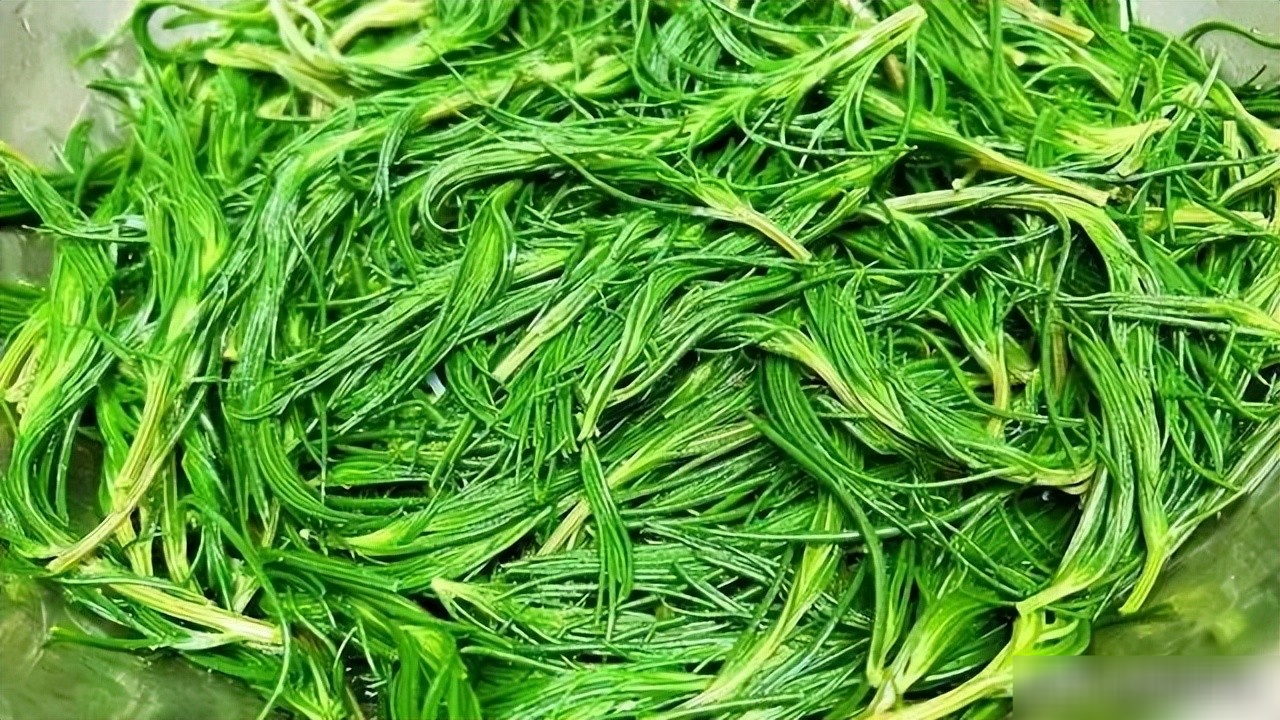 Loại rau dại vừa mặn vừa chua, mềm, ngon nếu chế biến theo cách này, hương vị mùa xuân tràn ngập - 7