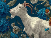 Eva tám - 4 con giáp may mắn nhất nửa cuối năm 2026: Tài lộc bủa vây, tiền bạc ào ào đổ về