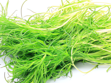 Loại rau dại vừa mặn vừa chua, mềm, ngon nếu chế biến theo cách này, hương vị mùa xuân tràn ngập