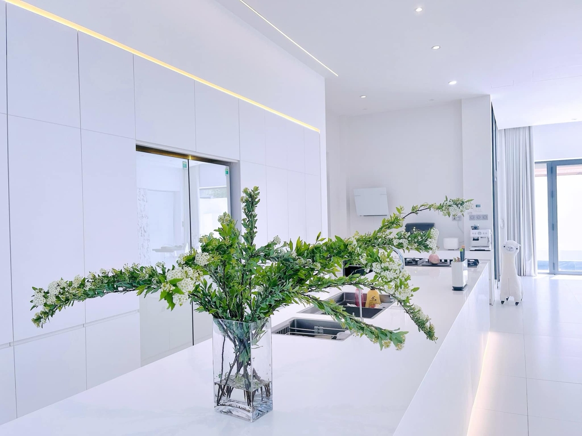 Không gian biệt thự trắng 300 m2 của Thủy Tiên - 5