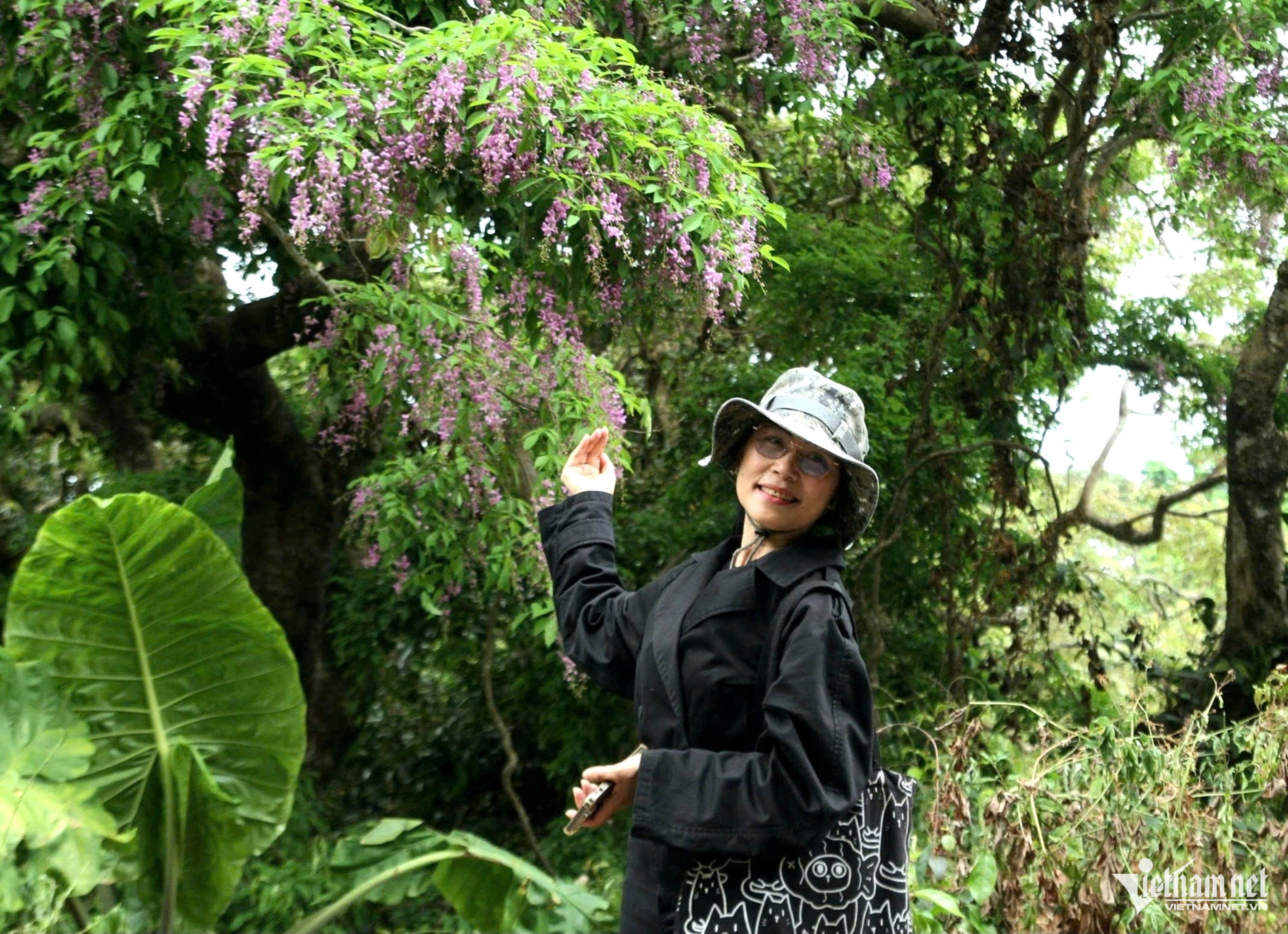 Sắc tím hoa thàn mát phủ kín bán đảo Sơn Trà, hút khách check-in - 9