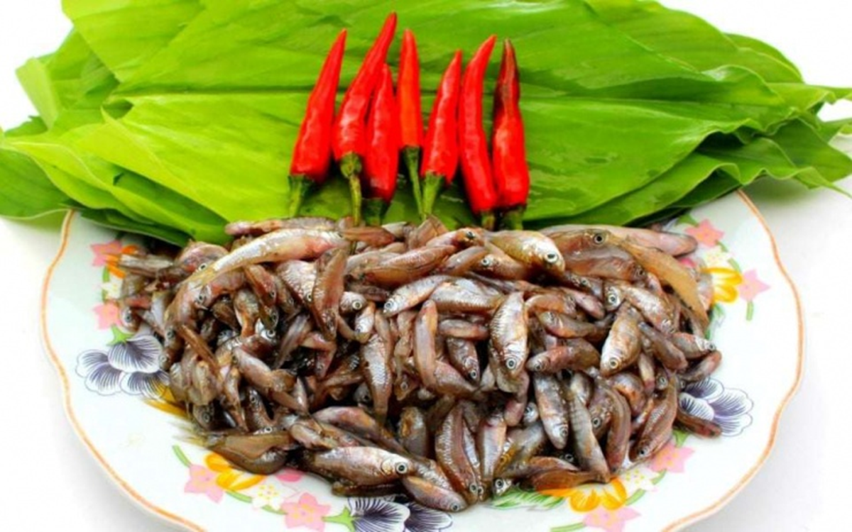 Món amp;#34;cứu đóiamp;#34; mùa lũ trở thành đặc sản đắt đỏ với giá lên tới 300.000 - 400.000 đồng/kg, nhiều người truy lùng - 1