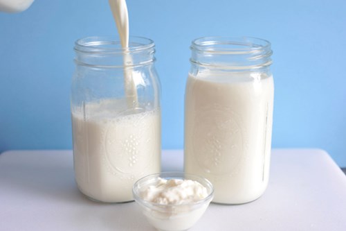 Sữa nấm kefir cung cấp lợi khuẩn hỗ trợ xương khớp và sức khỏe tối ưu.