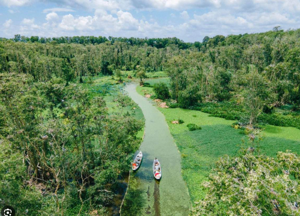 Rừng tràm Trà Sư rộng gần 850 ha. Từ bến tàu, khách du lịch có thể lựa chọn giữa xuồng máy hay thuyền ba lá tùy sở thích.