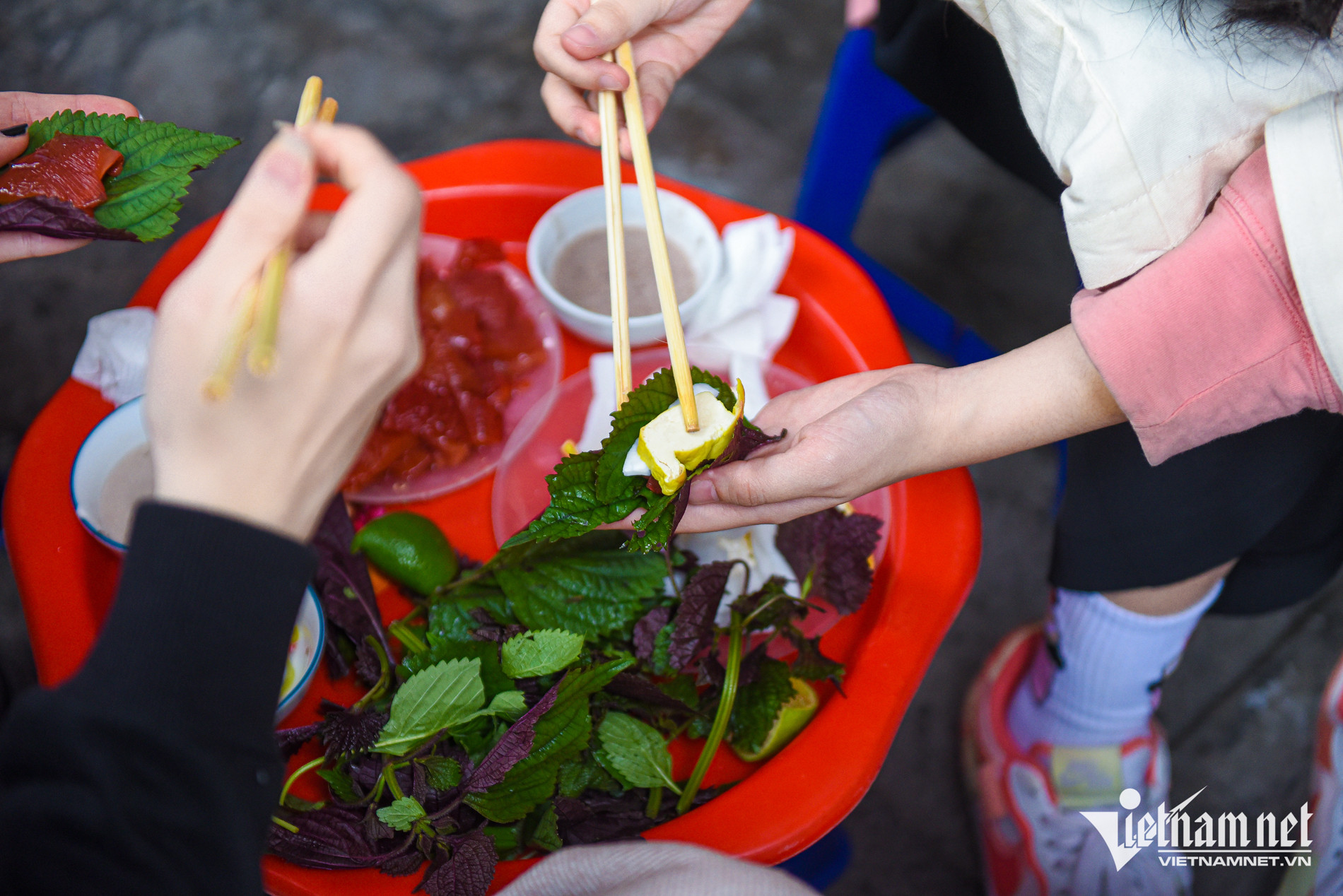 Mỗi suất sứa đỏ có giá từ 40.000 - 50.000 đồng. Ảnh: Linh Trang