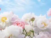 Eva tám - Giờ sinh Âm lịch "cầm vàng trong tay": Sinh ra đã có số hưởng lộc