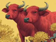 Eva tám - Top con giáp nữ đảm đang bậc nhất: Lấy được là "trúng số" cả đời