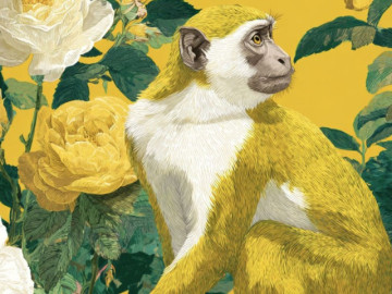 Bề ngoài khiêm tốn, bên trong đa tài: 4 con giáp thực lực "không phải dạng vừa"