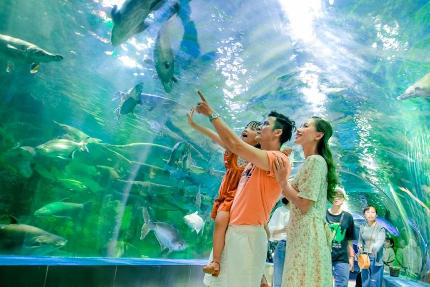 Đi Thiên Đường Bảo Sơn chơi gì: Công viên nước, thủy cung, Safari, làng nghề, tham quan vườn địa đàng, thưởng thức múa rối nước, chơi tàu hỏa, săn thú trong rừng, thuyền cướp biển, đu quay mặt trời...