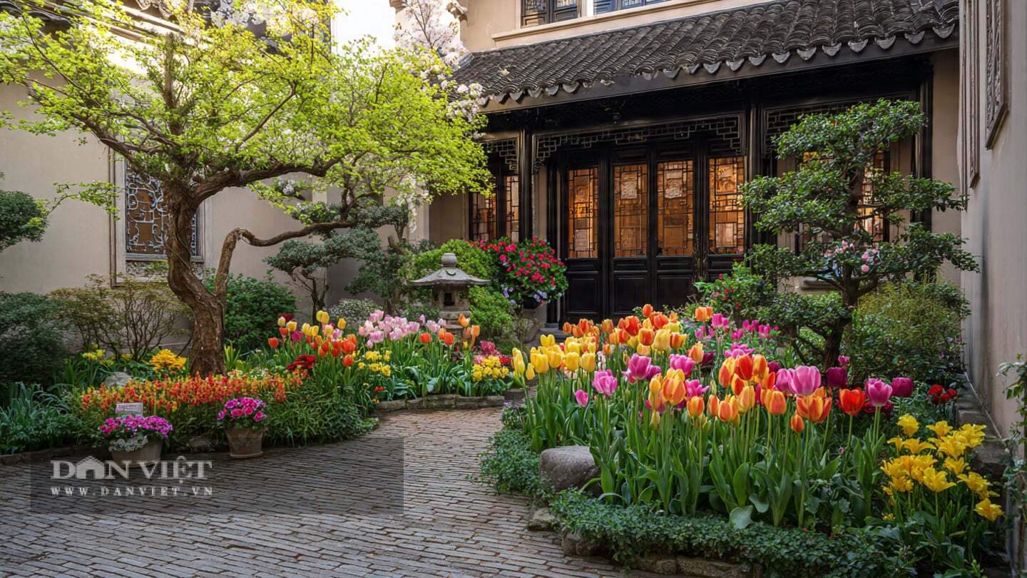 Hoa tulip l&agrave; lo&agrave;i hoa đặc trưng của m&ugrave;a xu&acirc;n.