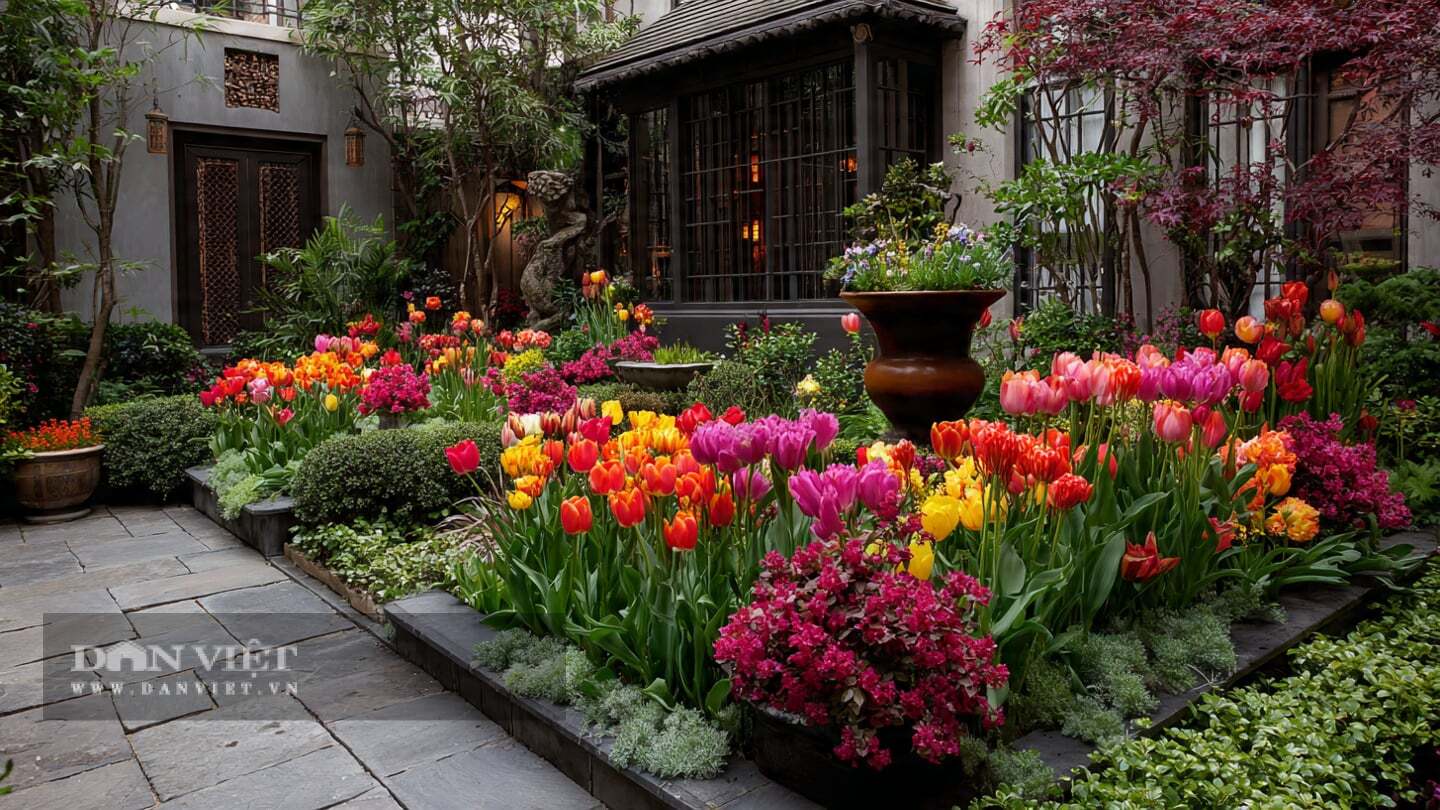 Tulip kh&ocirc;ng c&oacute; hương thơm nồng n&agrave;n