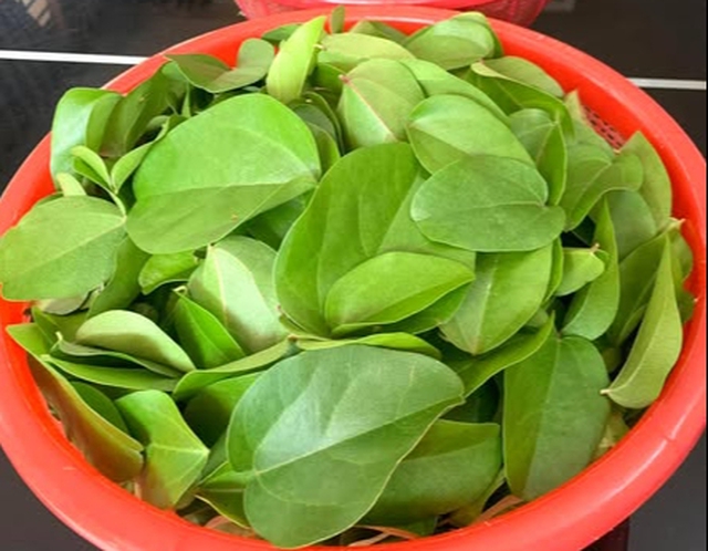 Bước 1: Rửa sạch lá sương sâm