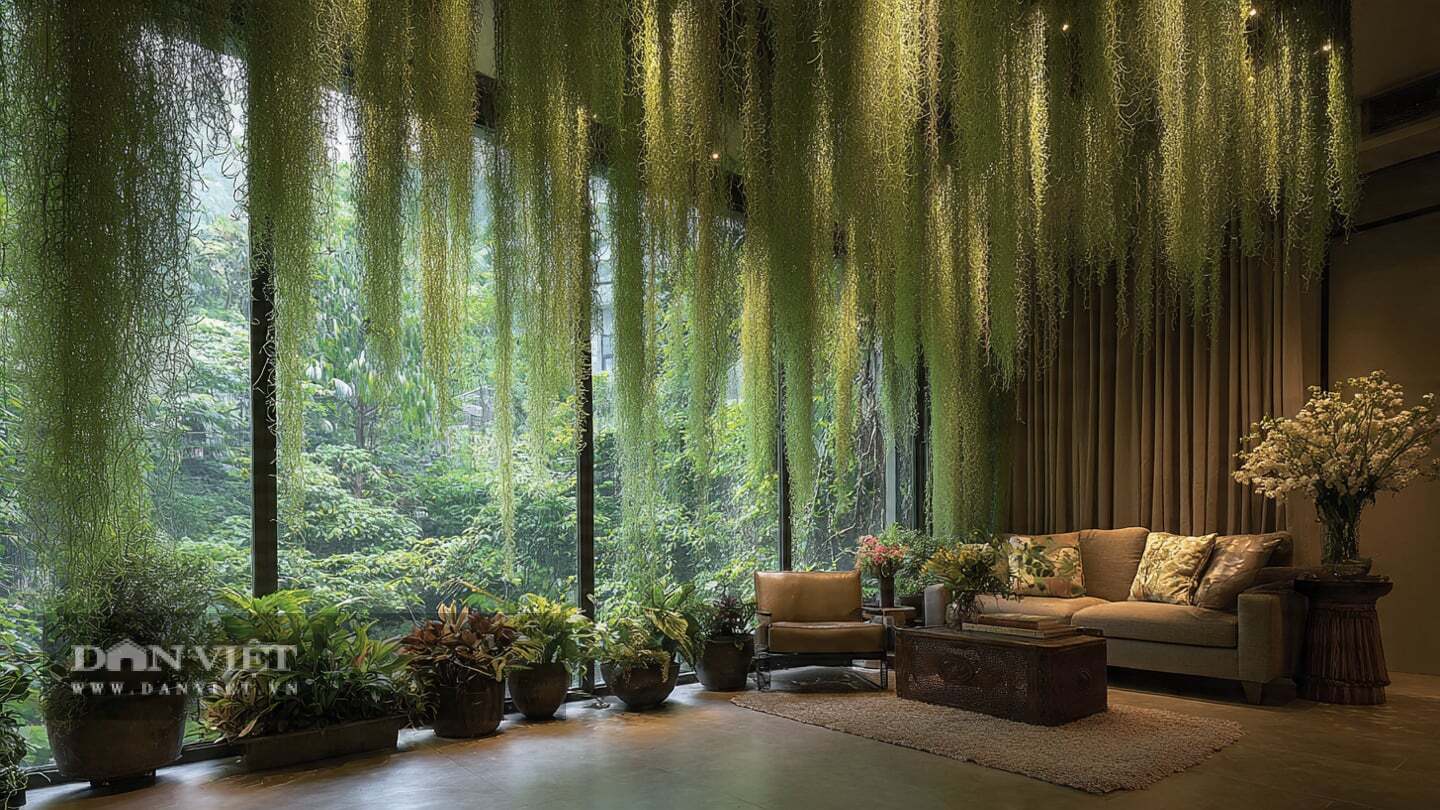 C&acirc;y cảnh treo lơ lửng