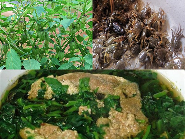 Loại lá là amp;#39;thần dược tự nhiênamp;#39;, bảo vệ gan, hỗ trợ kiểm soát đường huyết, chế biến thành nhiều món ngon - 7