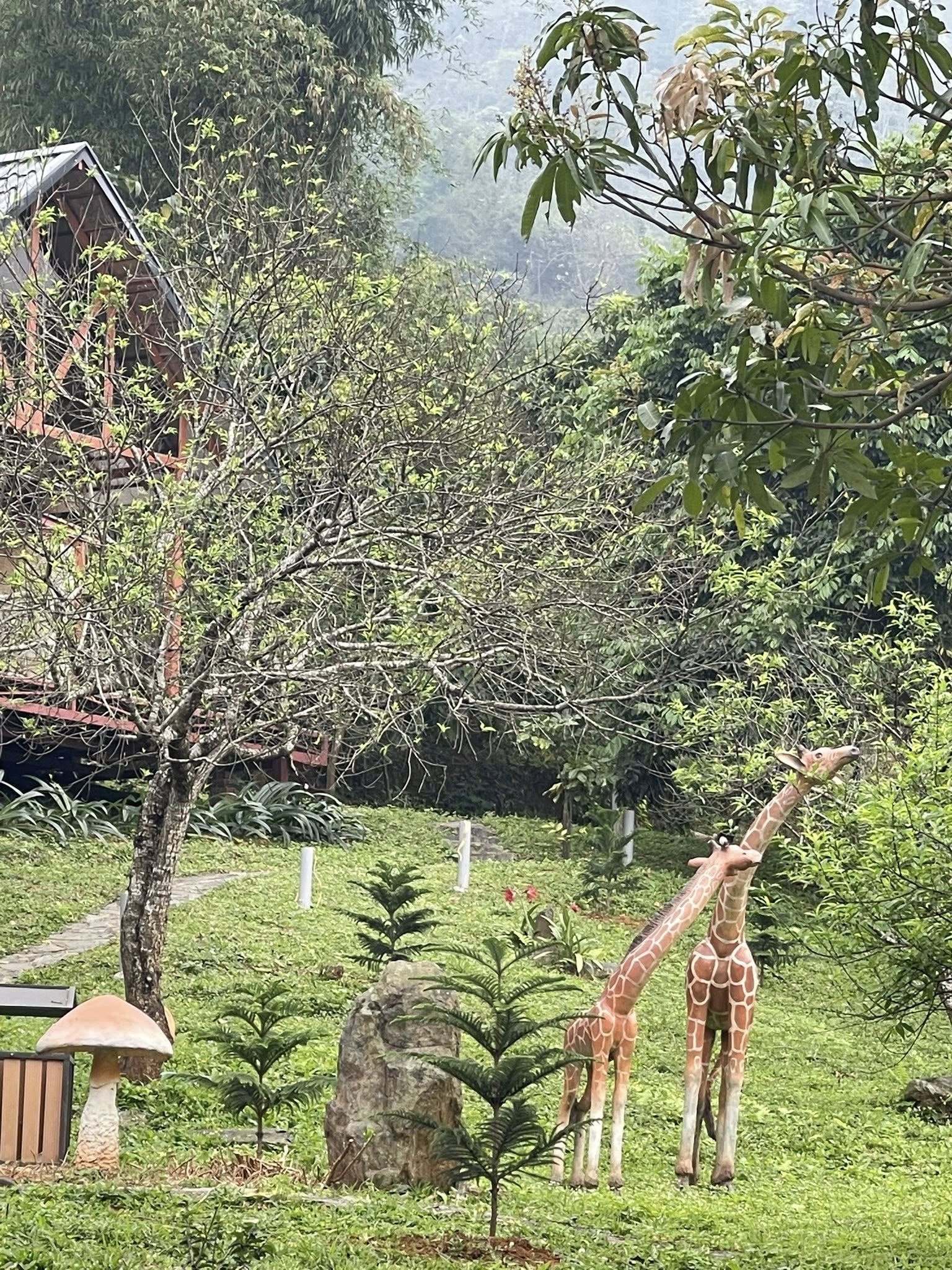 Nghệ sĩ Ưu tú nổi danh bỏ phố làm nông dân trong trang trại rộng 10.000m2, tận hưởng cuộc sống độc thân ở tuổi 60 - 3