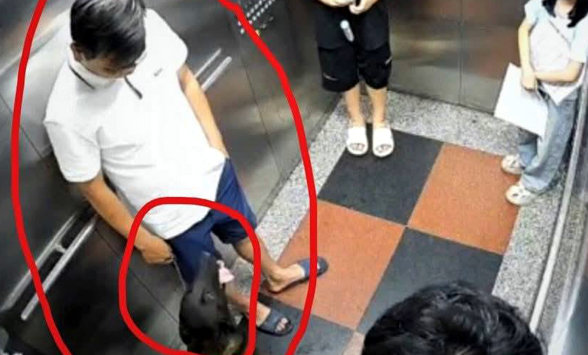 Hình ảnh người đàn ông đưa chó vào thanh máy không rọ mõm. Ảnh: Cư dân Đại Thanh cung cấp