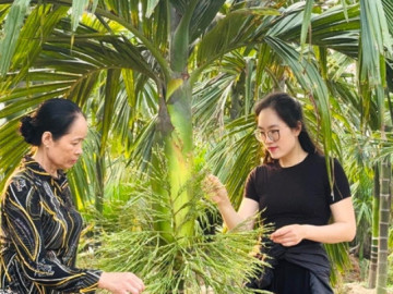 Thủ khoa đại học bỏ phố về quê nuôi 1.500 con gà, phát triển đầm tôm 6.000m²