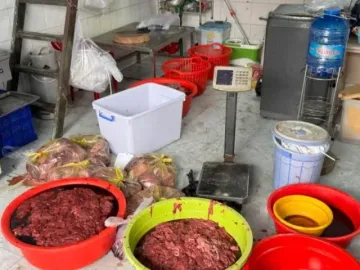 Triệt phá cơ sở sản xuất 65 tấn thịt bò giả, chứa hóa chất