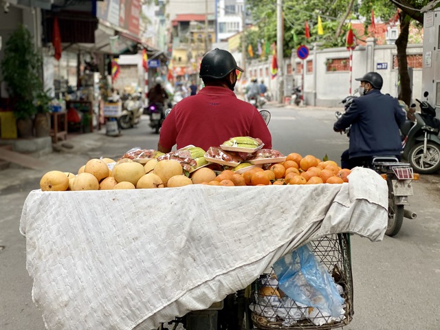 Xoài là một trong những loại hoa quả nhận được nhiều sự quan tâm của người tiêu dùng.