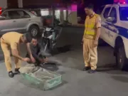 Clip Eva - Chở hàng trăm cá thể chim hoang dã đi tiêu thụ, người đàn ông bị phát hiện