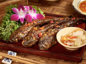 Đặc sản Cà Mau có món chế biến từ sản vật trời ban, có món "lạ nhất hành tinh"