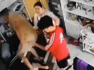 Công an vào cuộc vụ người phụ nữ ôm trẻ nhỏ bị hành hung liên tiếp ở Hà Nội