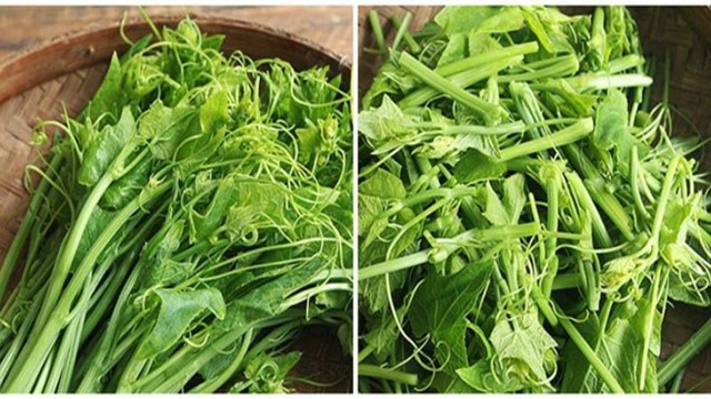 Loại rau dân dã là amp;#34;vuaamp;#34; của kẽm, người bị gút vẫn ăn được - 1