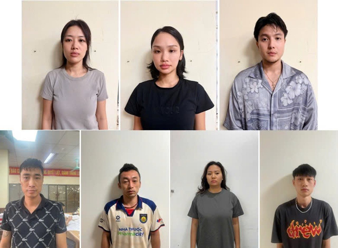 Ca sĩ Miu Lê bị khởi tố, bắt tạm giam - 1