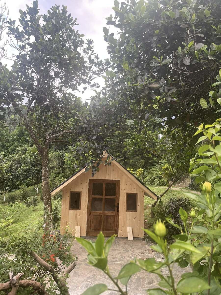 Việt Hoàn từng cho biết cuộc sống gắn với thiên nhiên giúp anh cảm thấy thư thái, khỏe mạnh và có thêm năng lượng tích cực sau nhiều năm hoạt động nghệ thuật.