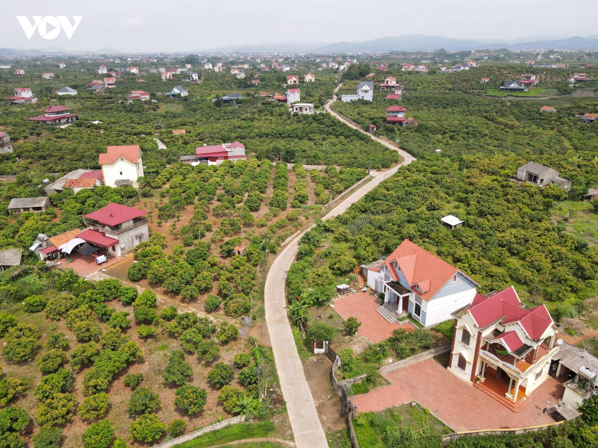Toàn cảnh thủ phủ vải thiều xã Nam Dương, tỉnh Bắc Ninh