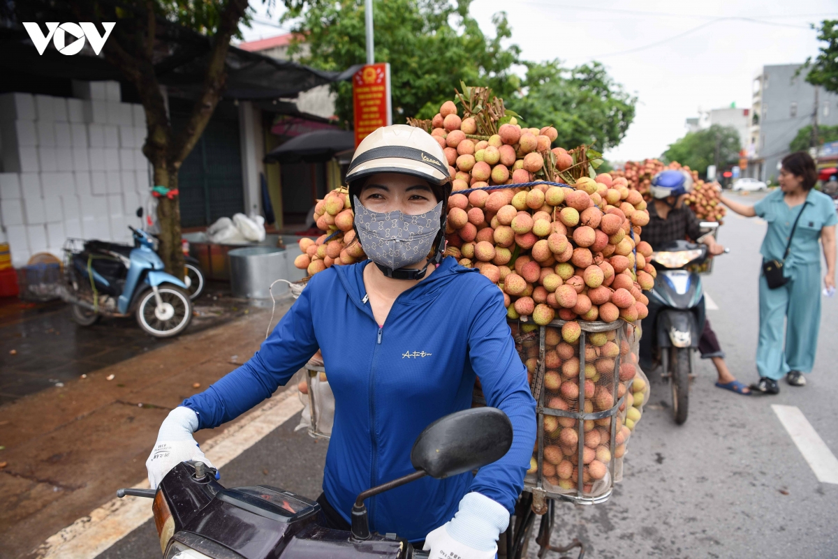 Nông dân Bắc Ninh vẫn phấn khởi vì giá vải thiều năm nay cao hơn so với mọi năm