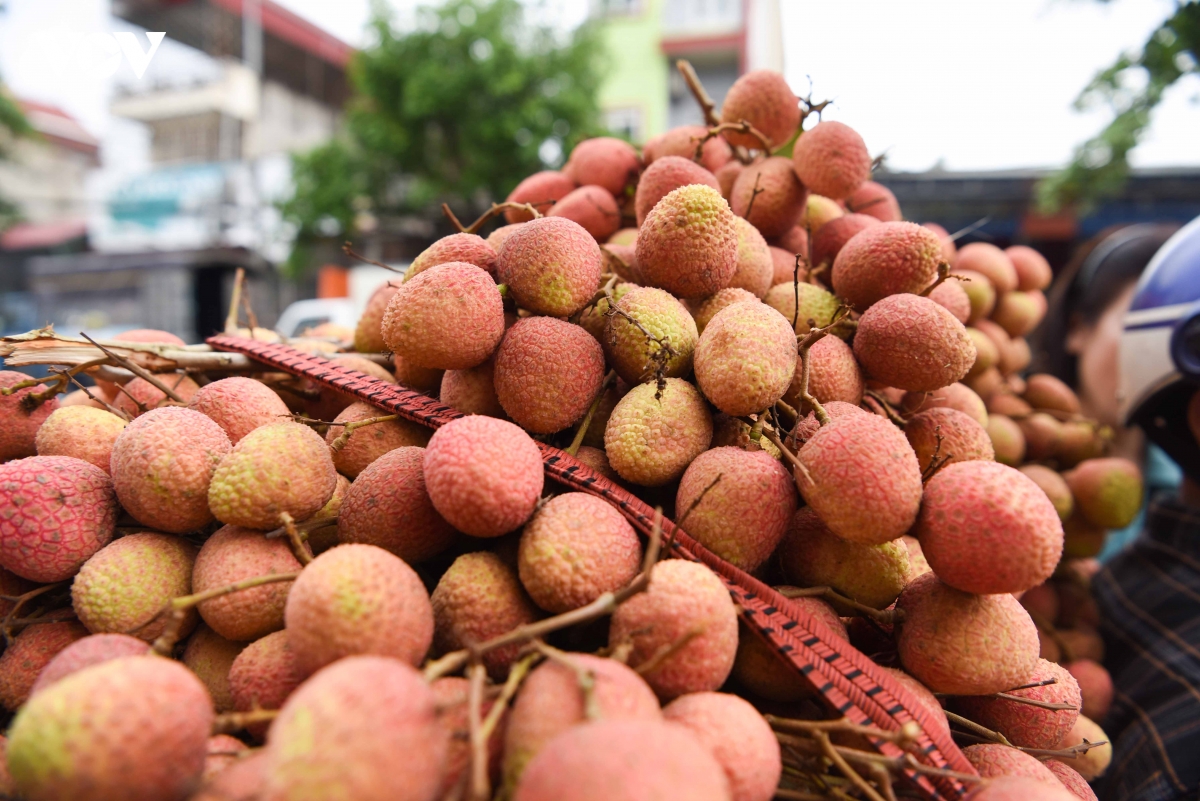 Những quả vải chín mọng đẹp mã