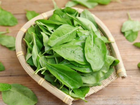 Loại rau ít người biết ăn, lại là dược liệu quý, bổ gan, trừ ẩm, thanh nhiệt, cải thiện thị lực, nấu cháo cực ngon